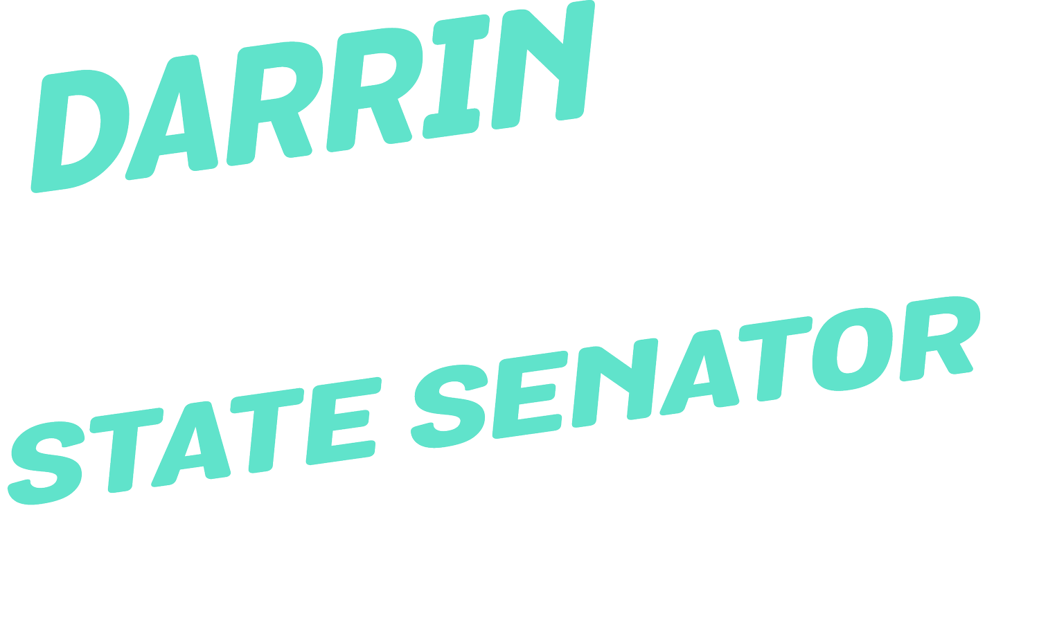 Darrin Camilleri for State Senate